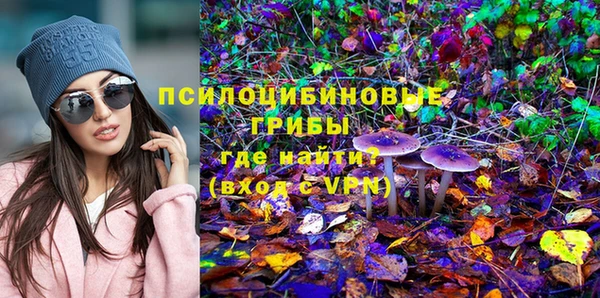 бошки Семилуки