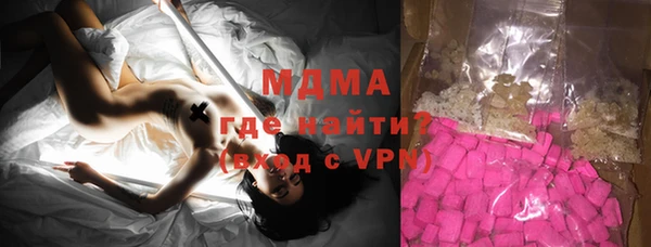 индика Бородино