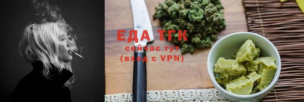 индика Бородино