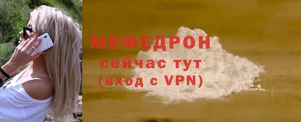 индика Бородино