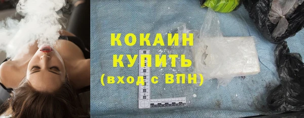 индика Бородино