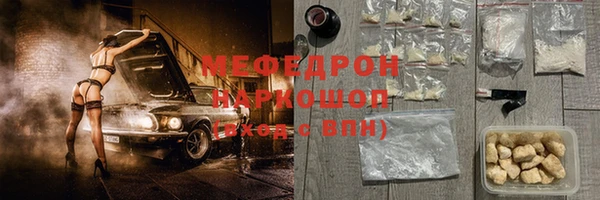 индика Бородино