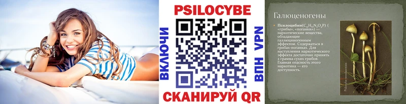 Псилоцибиновые грибы мицелий  Шумиха 
